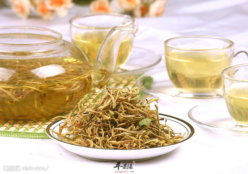 常喝金银花茶对人体有什么影响