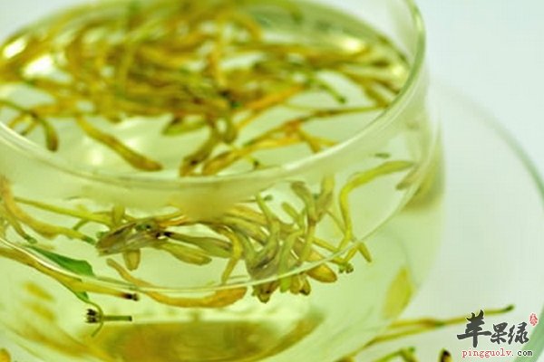 女性经期能喝金银花茶吗
