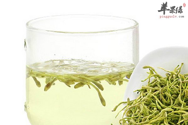女性经期能喝金银花茶吗