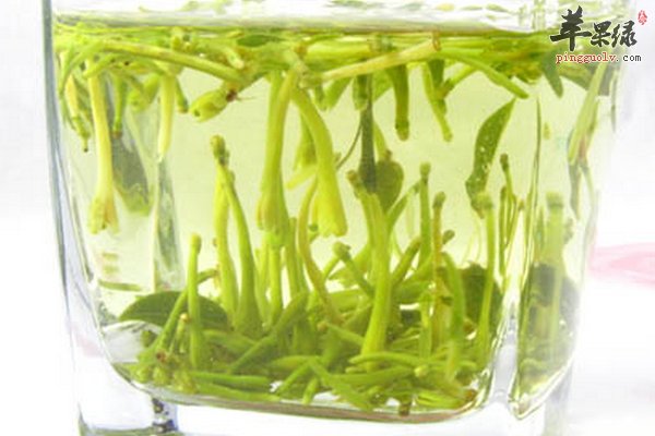 皮肤过敏能喝金银花茶吗