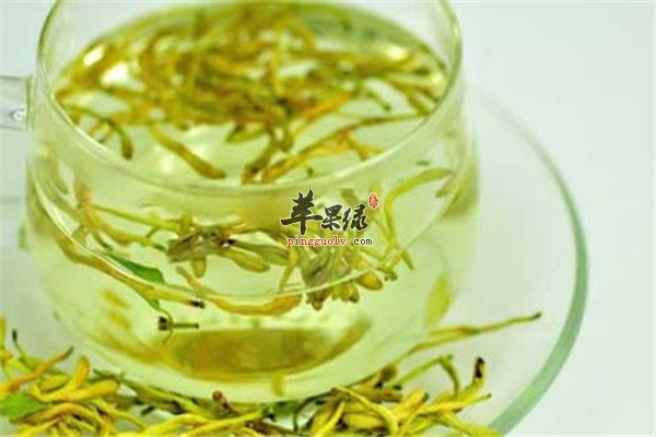 金银花泡水的禁忌 注意不要伤身