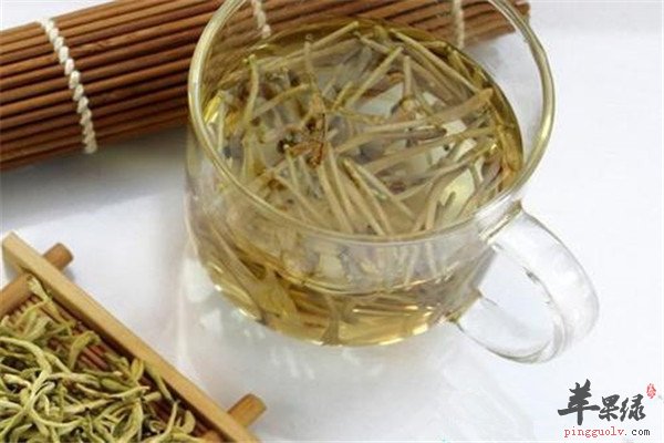 金银花泡水的禁忌 注意不要伤身