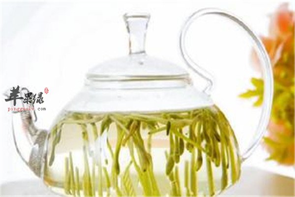 金银花泡水的禁忌 注意不要伤身