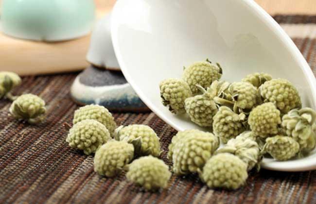 绿萝花茶的药用价值与功效