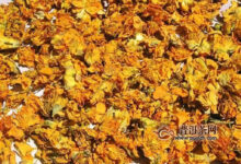金莲花泡水喝的禁忌-茗扬网