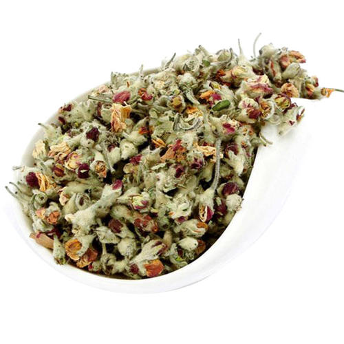 苹果花茶属于凉性吗 苹果花茶的禁忌