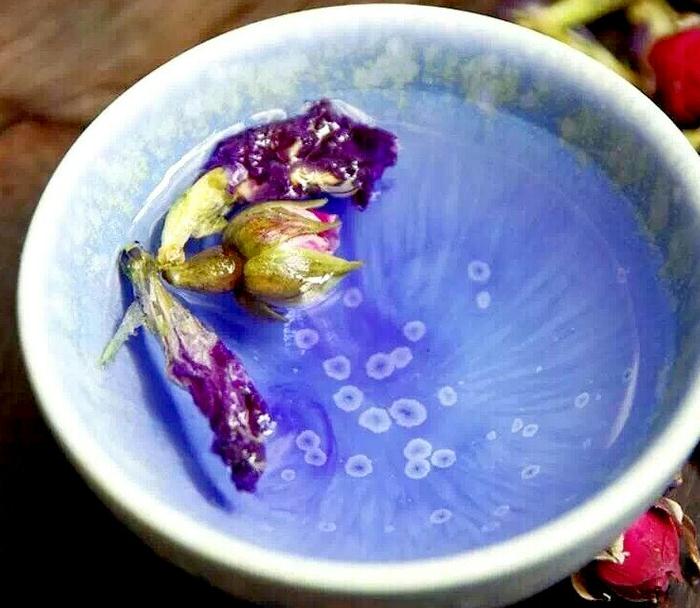 蓝蝴蝶花茶的功效与作用 蓝蝴蝶花茶的禁忌