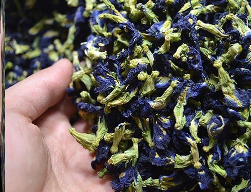 坚持每天喝一杯蓝蝴蝶花茶能养血润肤吗