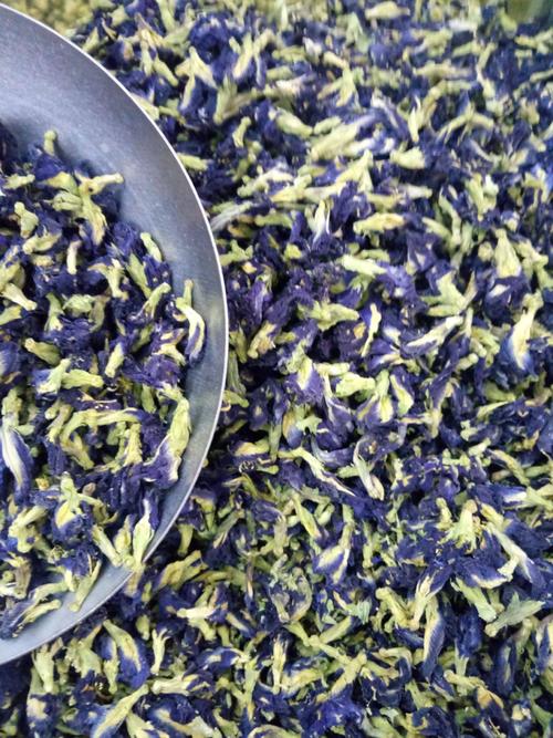 喝蓝蝴蝶花茶应该注意什么 蓝蝴蝶花茶有哪些禁忌
