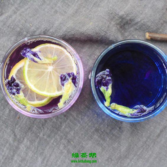 蓝蝴蝶花茶的搭配方法窍门