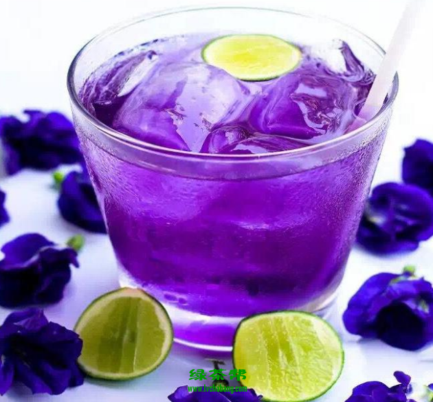 蓝蝴蝶花茶的搭配方法 蓝蝴蝶花茶什么人不能喝