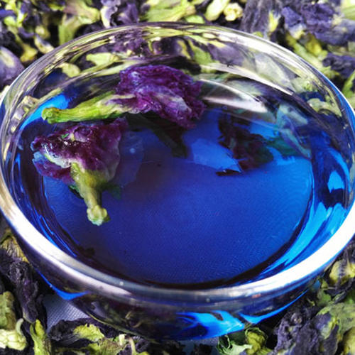 蓝蝴蝶花茶的禁忌 蓝蝴蝶花茶的功效与作用