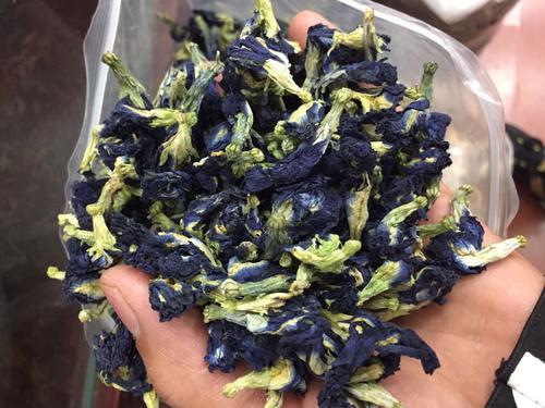 蓝蝴蝶花茶的禁忌 蓝蝴蝶花茶的功效与作用