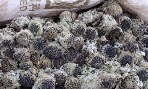 干雪莲花怎么泡水喝 干雪莲花泡水的方法教程