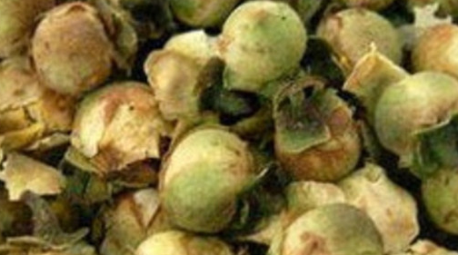 雪莲花茶药理功效