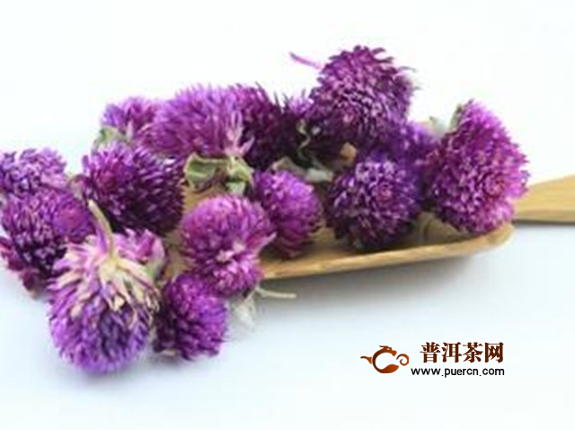 千日红花茶功效与禁忌