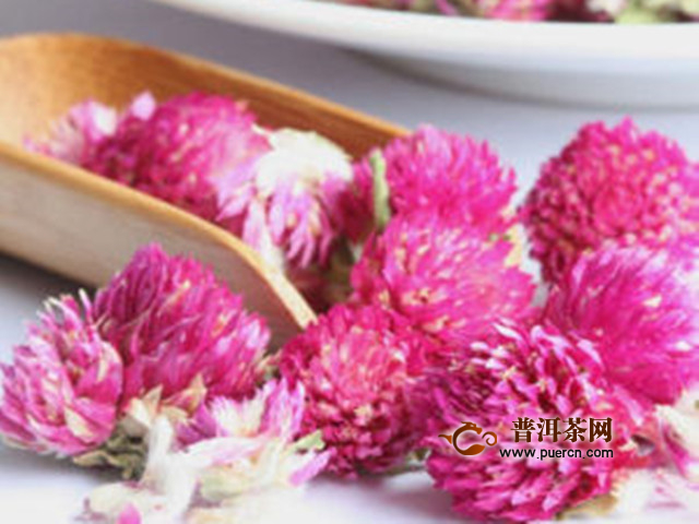 千日红花茶功效