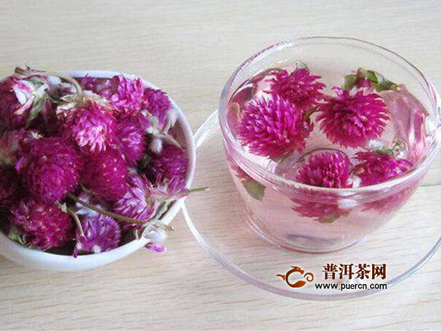 什么人不能喝千日红花茶