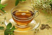 蒲公英泡水喝的功效有哪些-茗扬网