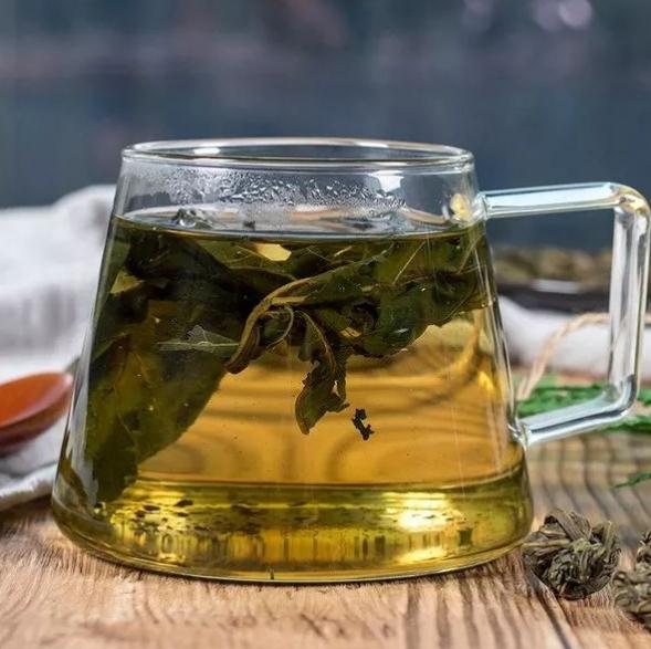 蒲公英茶的功效与作用 喝蒲公英茶的好处
