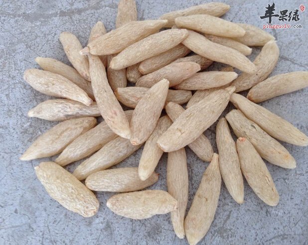 麦冬如何正确泡水喝