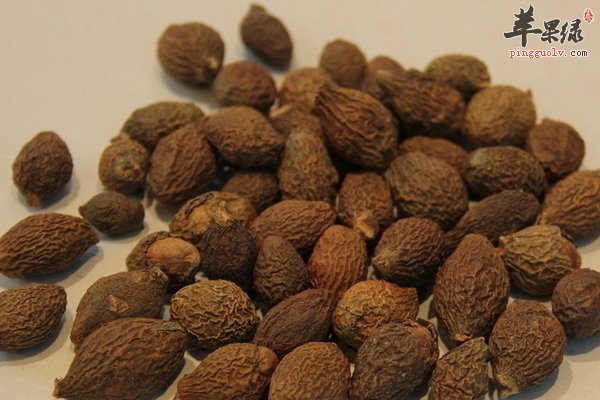胖大海怎么泡茶