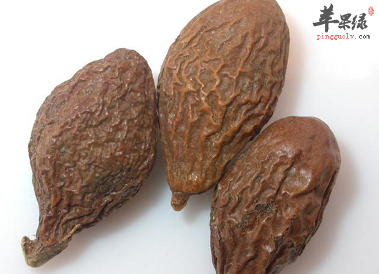 胖大海泡茶喝可以去肺热治便秘