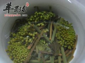 哪些人不能喝三七花泡的水呢