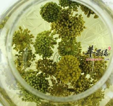 哪些人不能喝三七花泡的水呢