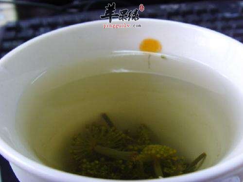三七花泡水喝的注意事项有哪些