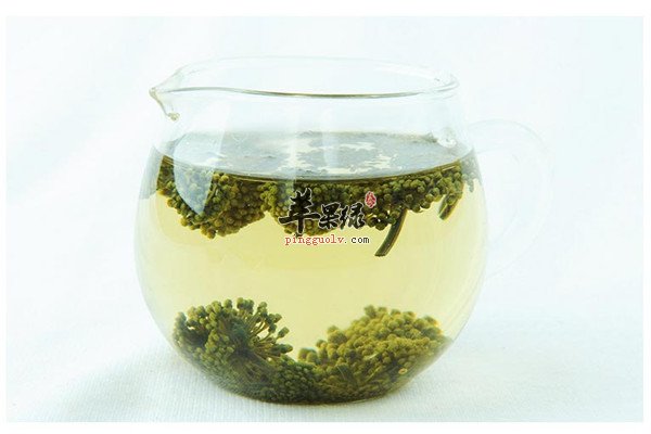 三七花泡水的五种功效不可错过