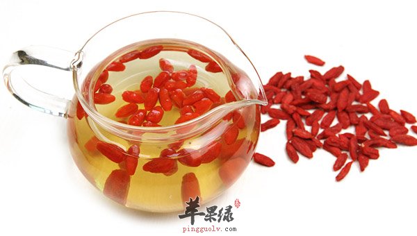 枸杞子泡水喝有什么坏处