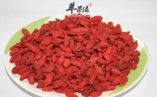 经常喝枸杞子水害处有哪些