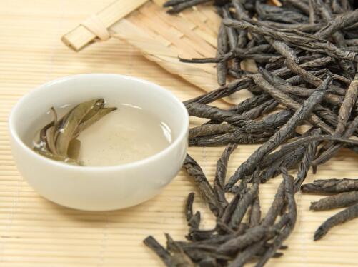 苦丁茶的功效与作用和禁忌