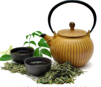 桑叶侧柏叶苦丁茶的功效和作用是什么