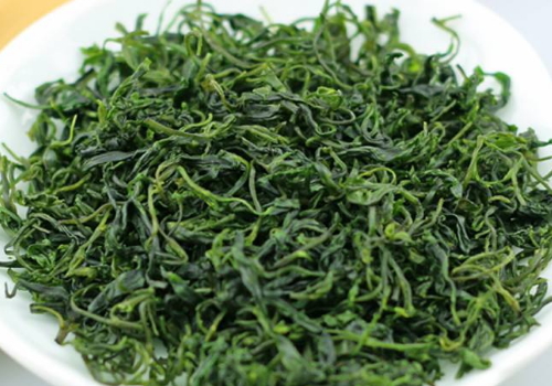 小叶苦丁茶怎么挑选 怎么泡