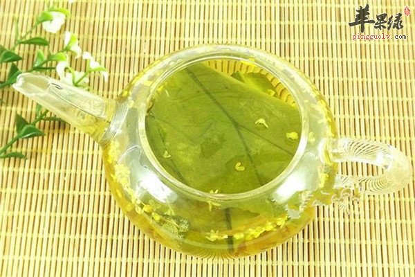 具体介绍喝荷叶茶到底能不能减肥