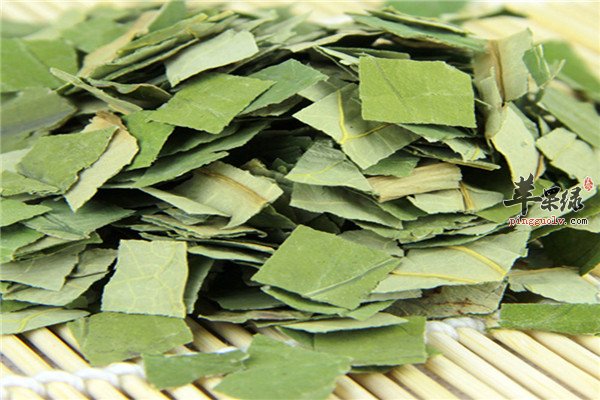 具体介绍喝荷叶茶到底能不能减肥