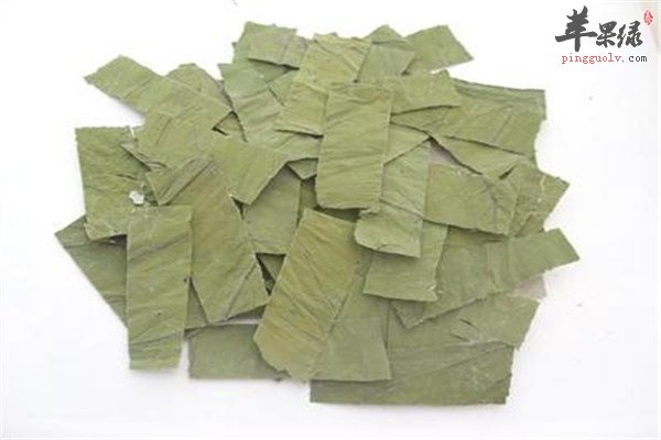 具体介绍喝荷叶茶到底能不能减肥
