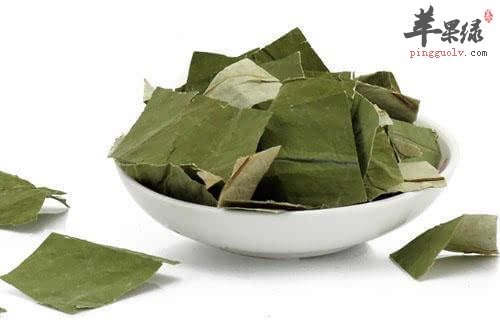 夏季多喝荷叶茶 可以清暑利湿