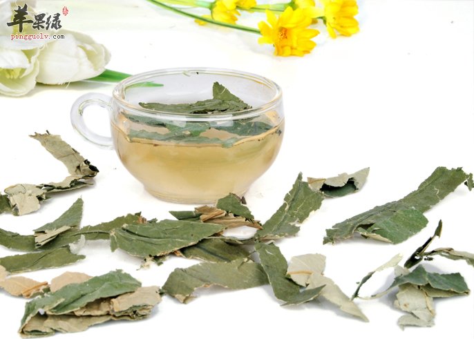 夏季多喝荷叶茶 可以清暑利湿