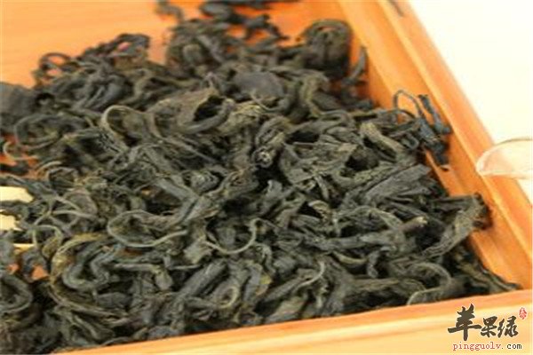 杜仲茶的作用与功效你了解吗