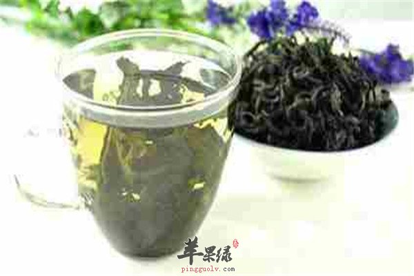 杜仲茶好不好 强免疫美容抗衰
