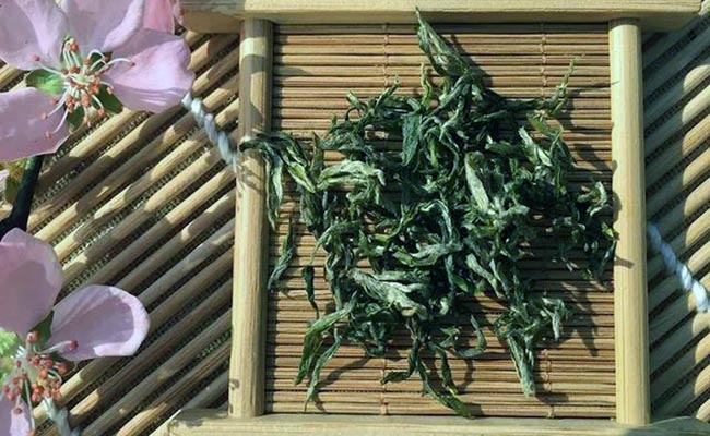 南岳衡山出产什么茶