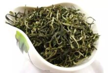 云南大理什么茶最好-茗扬网