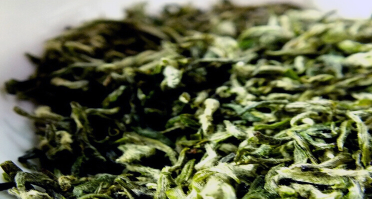 贵定的茶有什么特点 贵定云雾茶属于什么茶