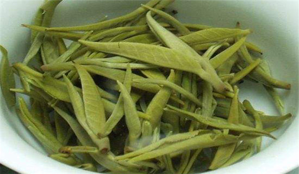 广西凌云最出名茶叶——凌云白毫茶的特点