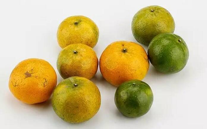 青皮、二红皮与大红皮收藏与食用到底哪种好？