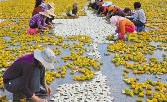 柑香飘满城！冬日暖阳下的“柑皮阵”