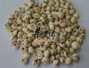 一般来说川贝可以泡水喝吗